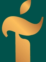 itsolution&trainings